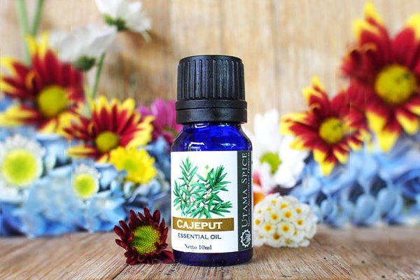 

Cajeput Essential Oil