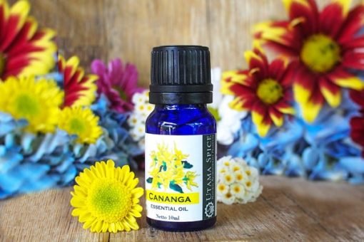 Cananga Essential Oil