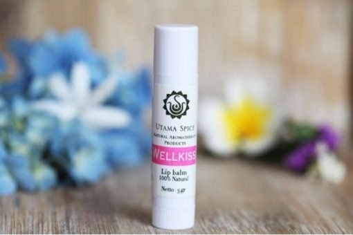 Wellkiss Lip Balm