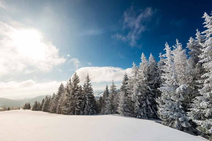 winter wonderland