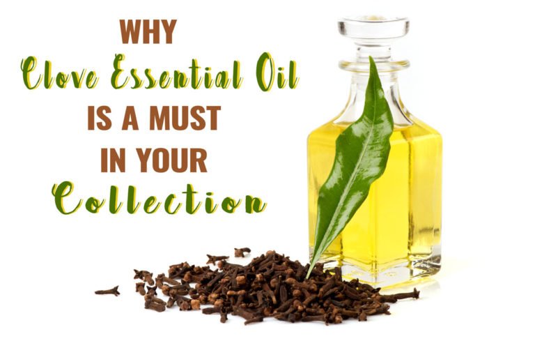 WHY CLOVE ESSENTIAL OIL IS A MUST