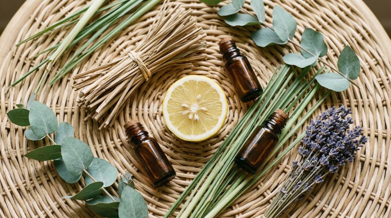 natural bug repellent for skin ingredients including citronella lemongrass and essential oils