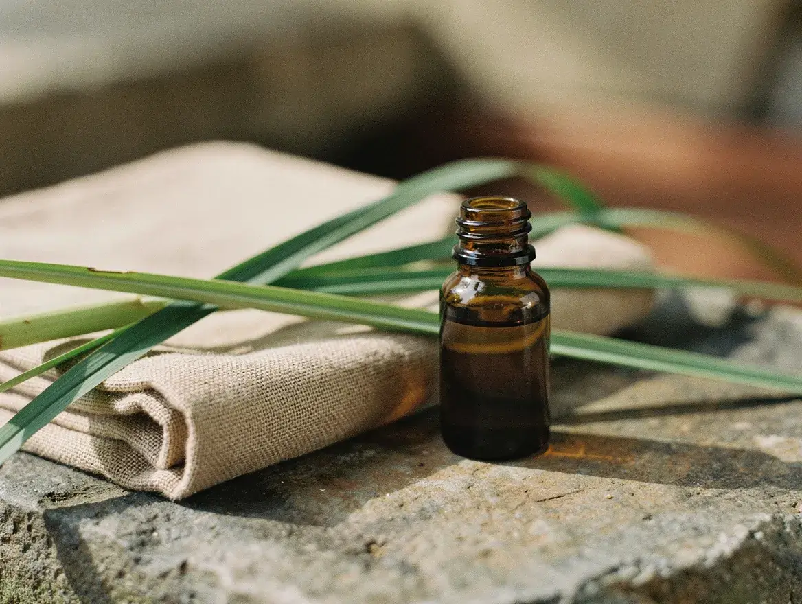 citronella essential oil questions answered, calm still life