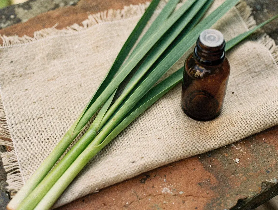 citronella and lemongrass botanical compounds for natural insect repellent